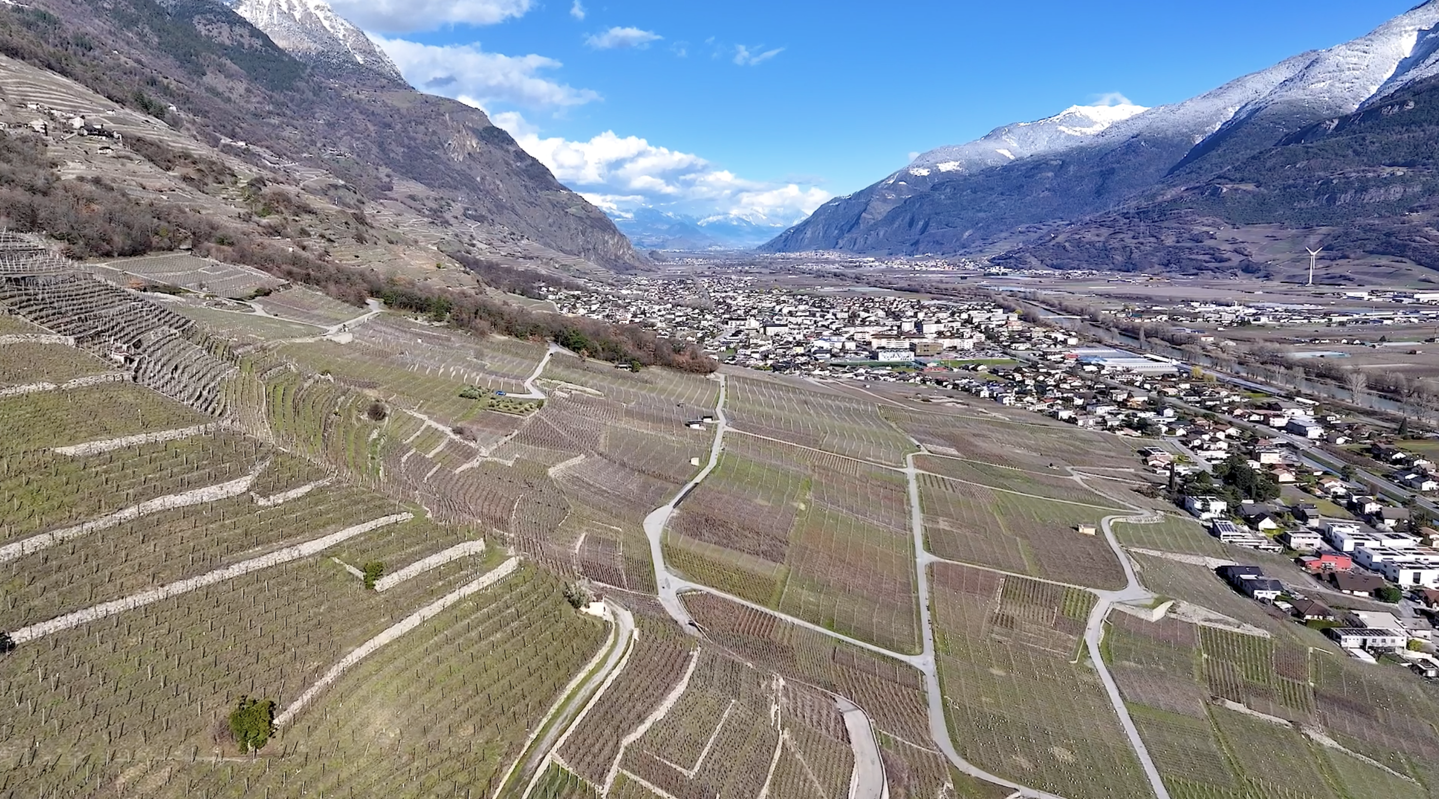 Vue aérienne de vignes en Valais