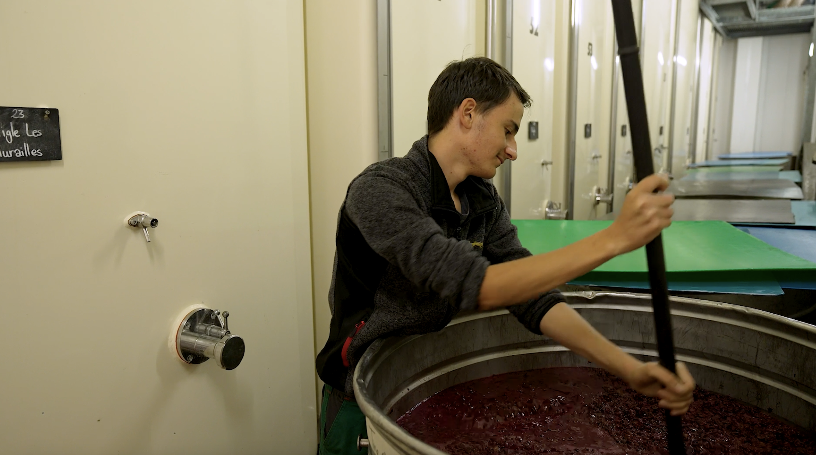 un jeune apprenti caviste fait du vin (Arnaud Franzé)