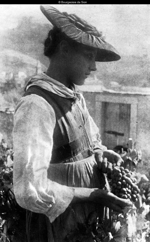 Photo en noir-blanc d'une femme en habits traditionnels valaisans récoltant du raisin