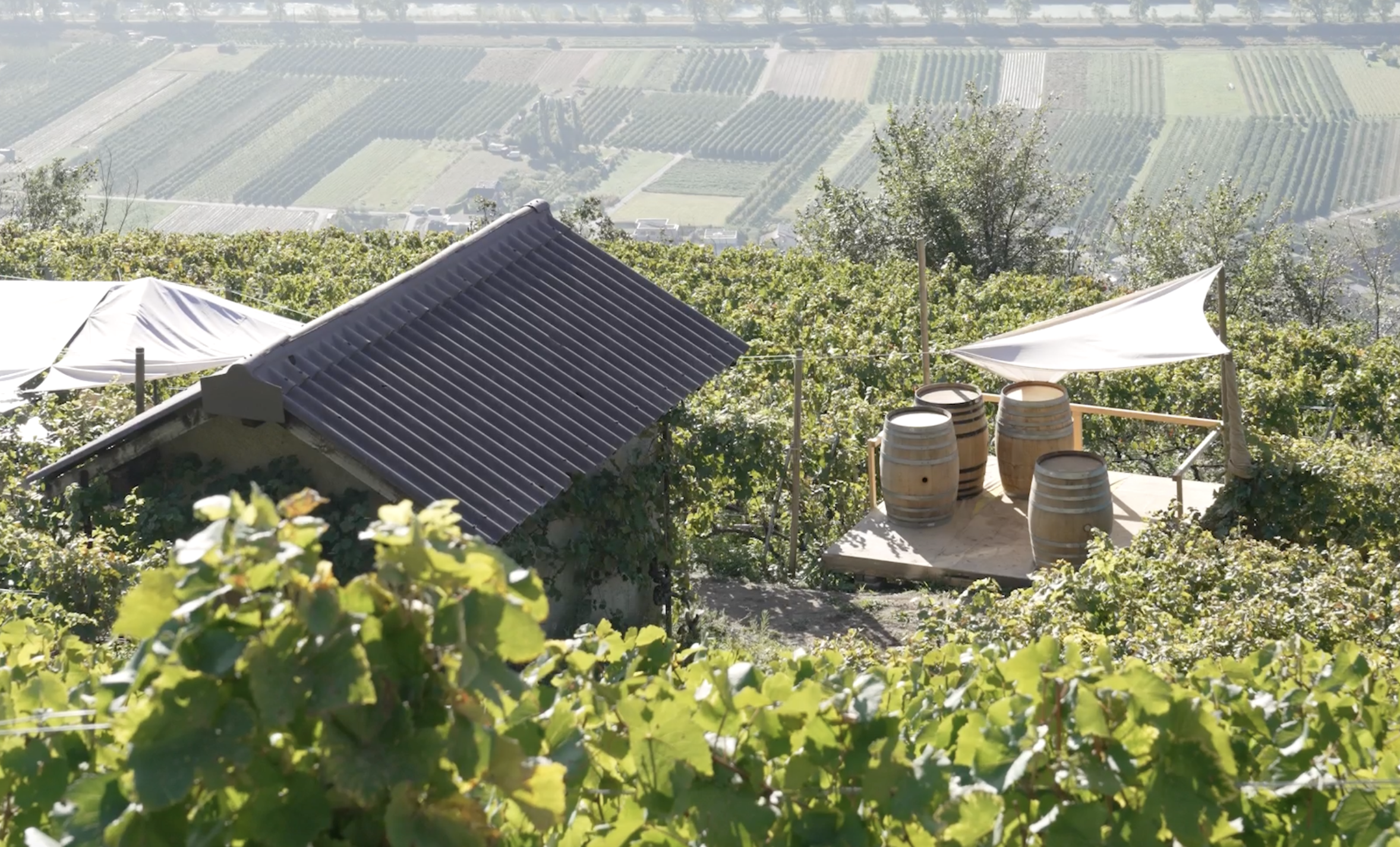 Petit cabanon dans le vignoble valaisan