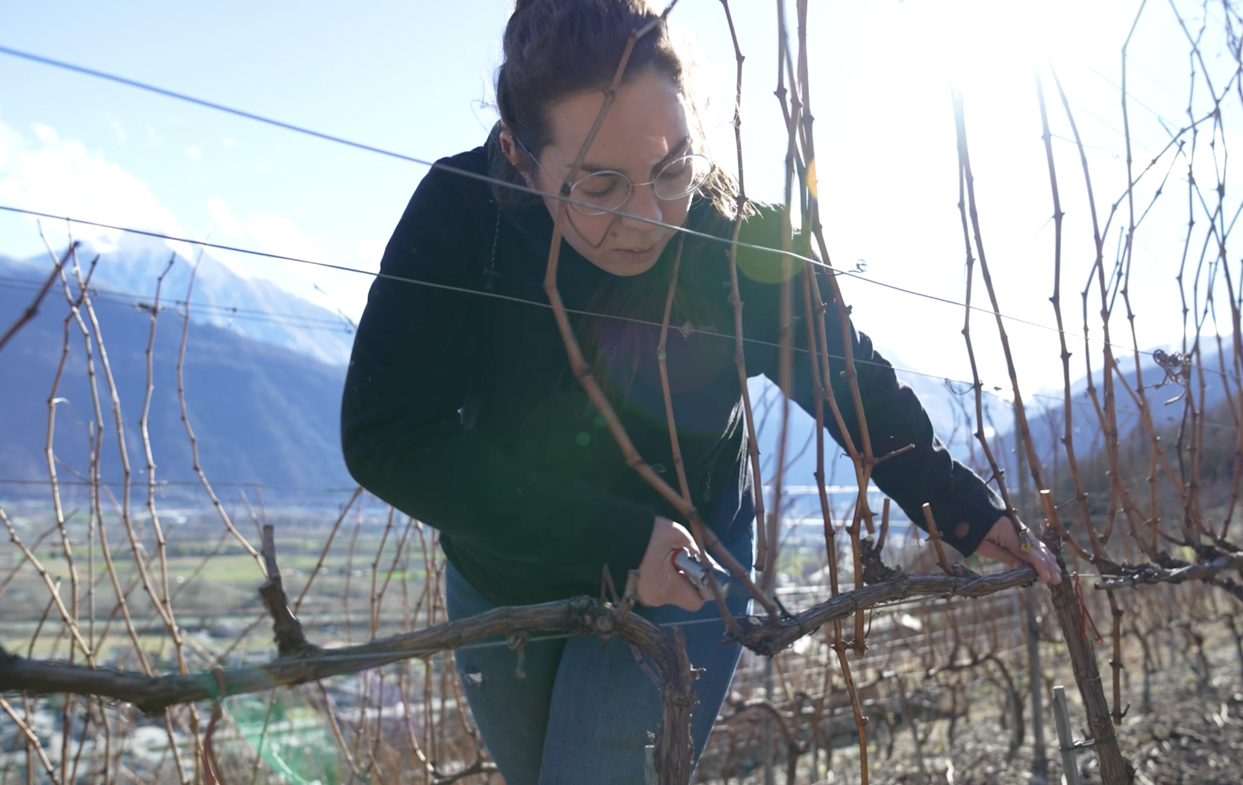 Laetitia Roduit (viticultrice) travaille la vigne en Valais