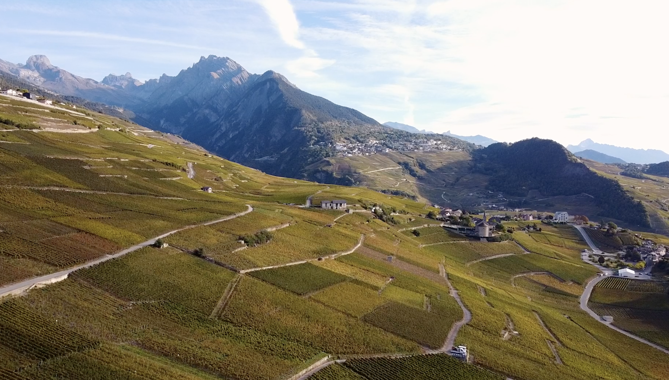 Vue aérienne de vignes en Valais