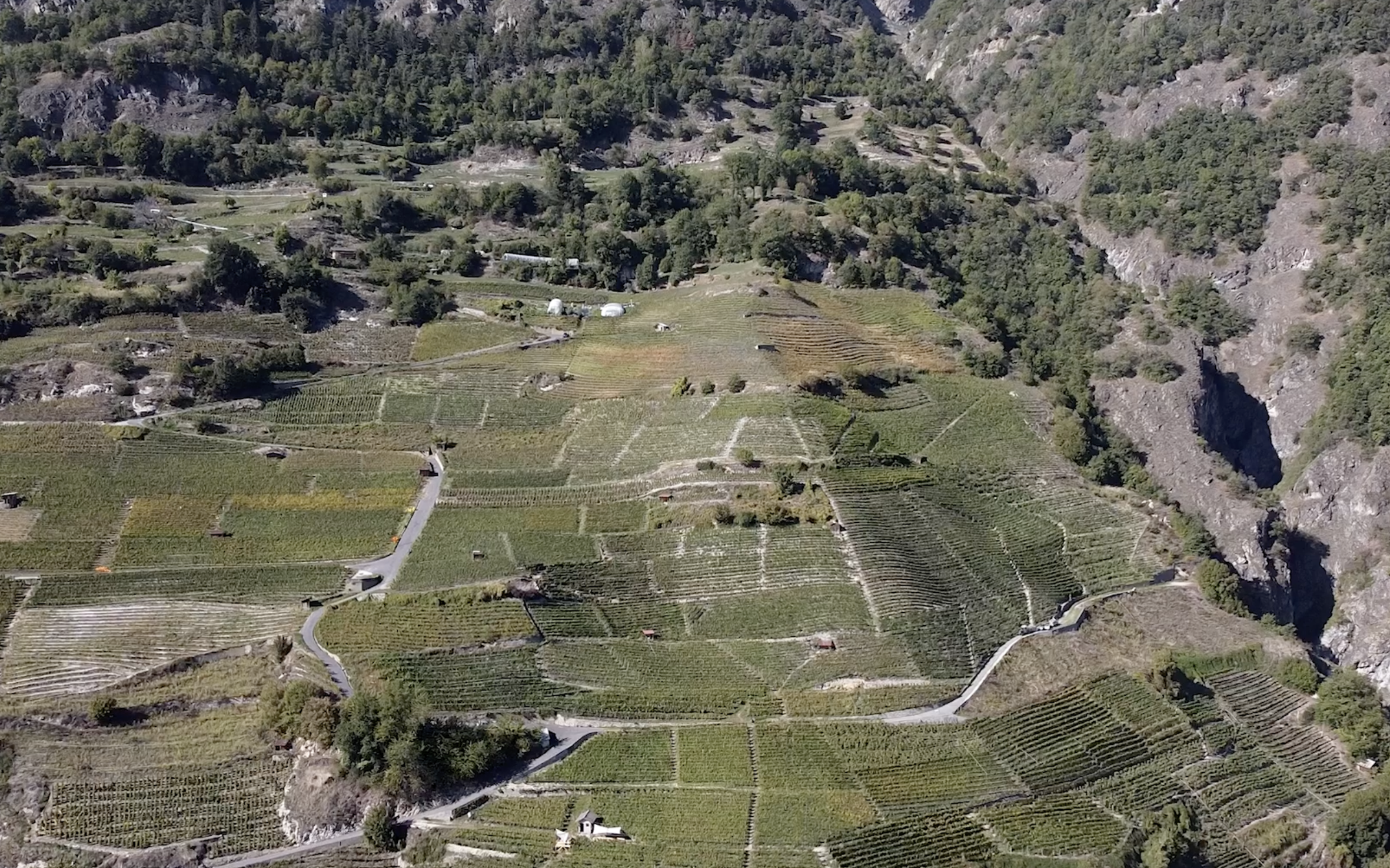 domaine viticole de Buitonnaz en Valais