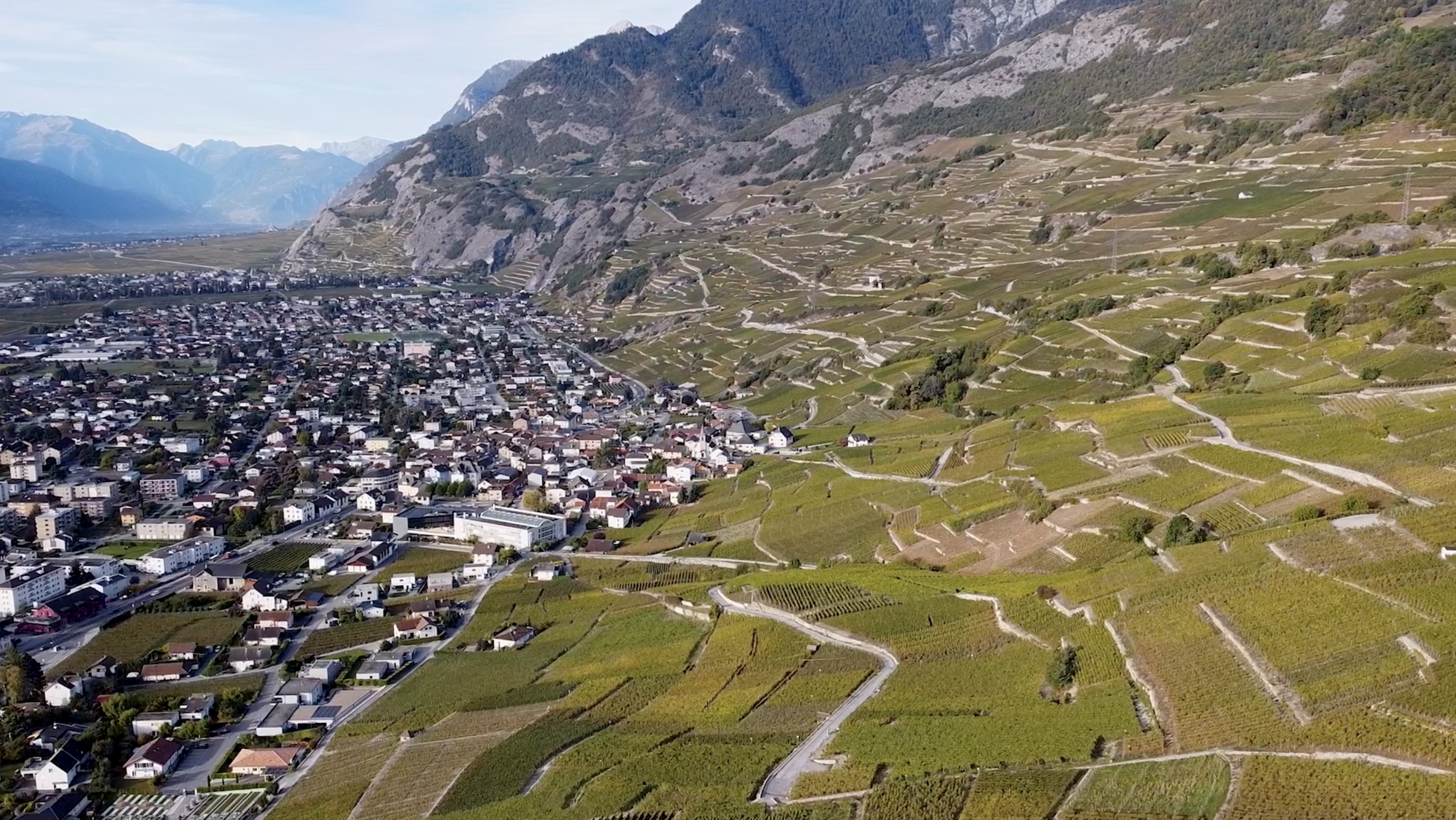 Vue aérienne de vignes en Valais